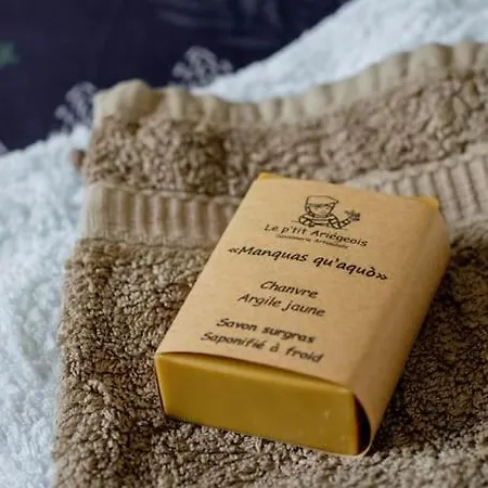 Villa Bienvenue Chez Vous 09 Varilhes