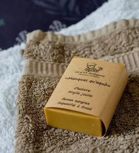 Villa Bienvenue Chez Vous 09 Varilhes